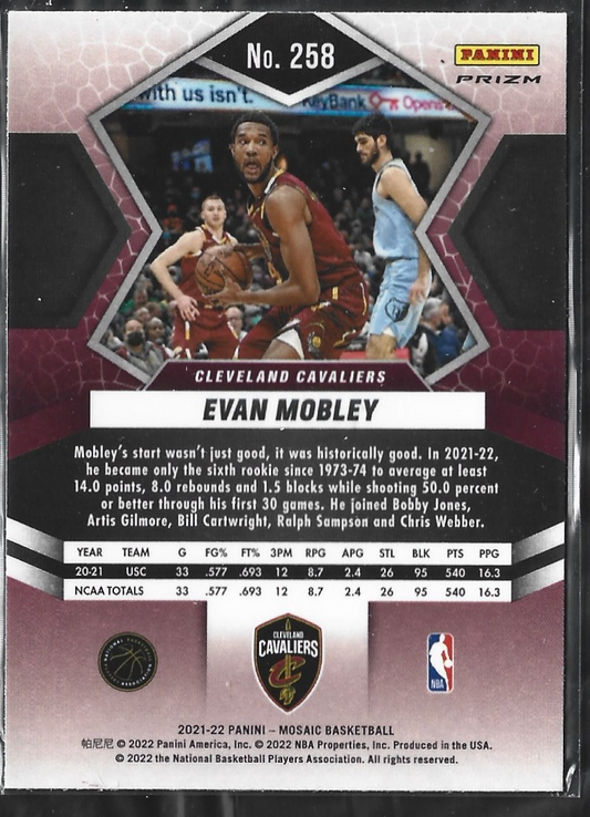 Evan Mobley National Pride Green