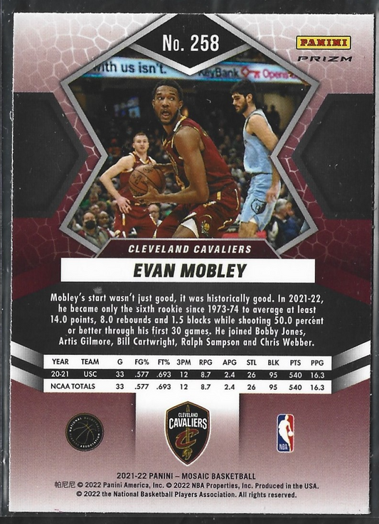 Evan Mobley National Pride Silver