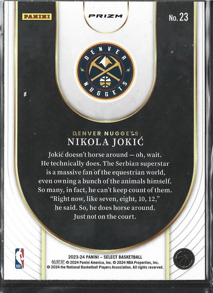 Nikola Jokic Neon Icon Silver