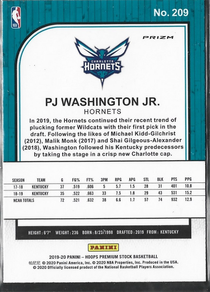 PJ Washington Hoops Premium Pulsar